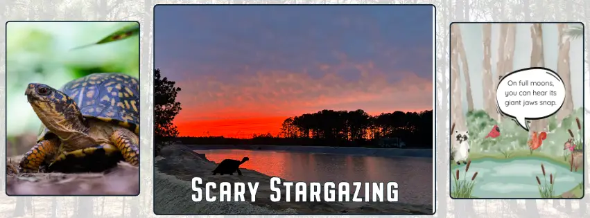 Scary Snapper Stargazing