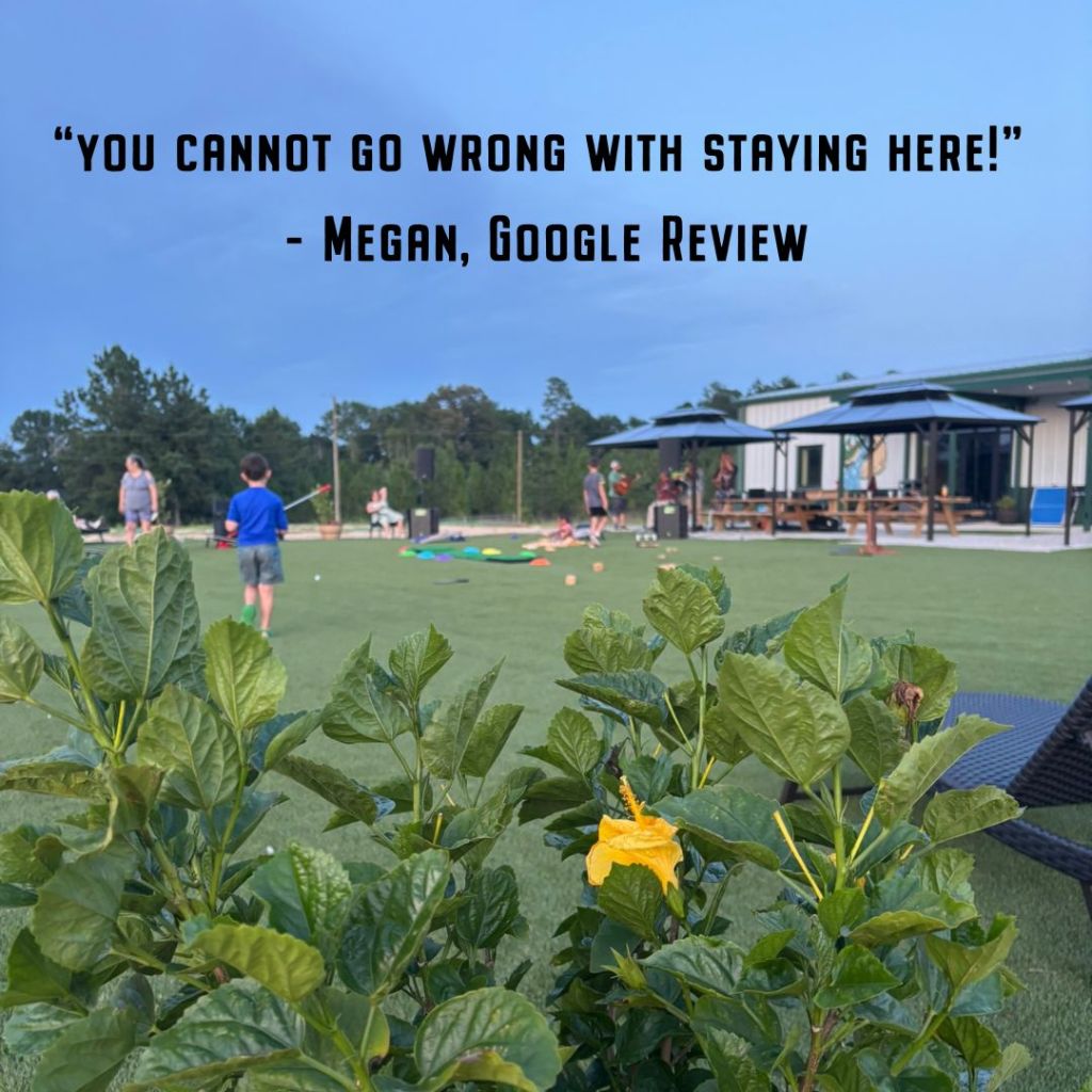 Standing Pines Family Camping Back Yard Recreation Area