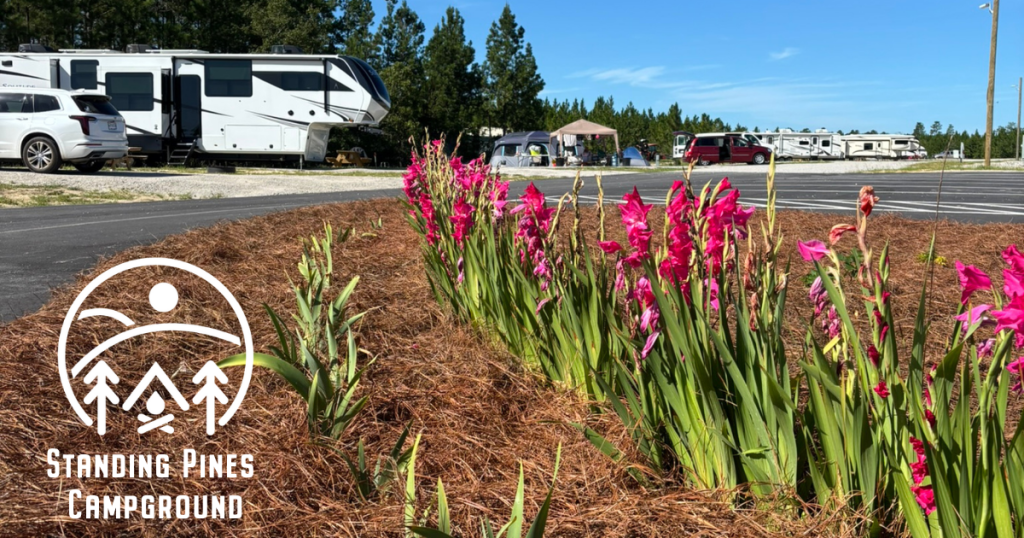 Standing Pines Campground South Carolina Family RV Resort