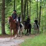 sand-hills-state-park_mp4_dvd.original-1