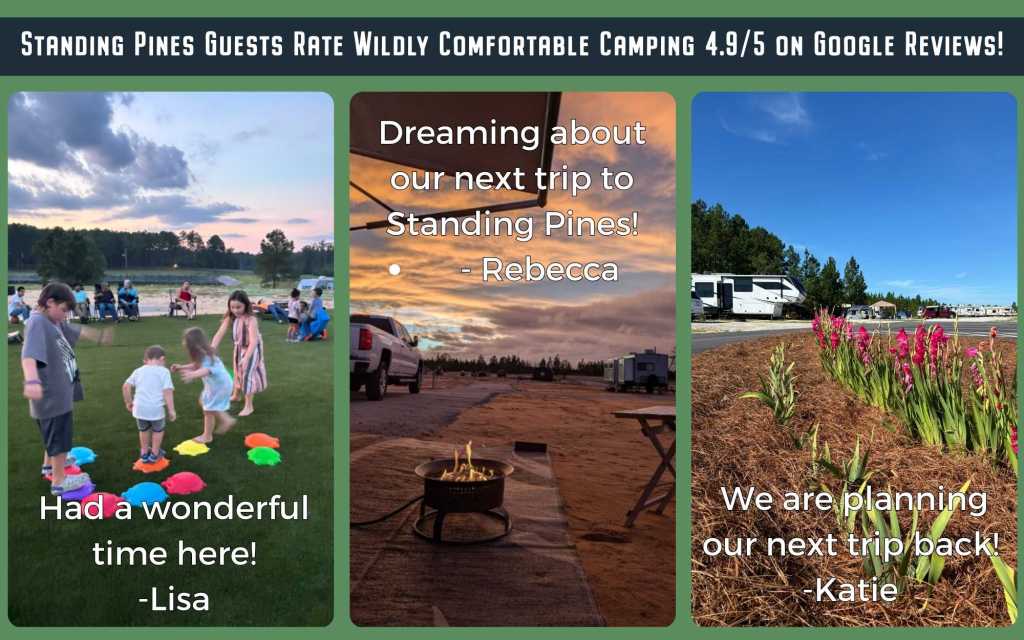 Children playing games on grass, families relaxing by a lake, cozy campfire at sunset, and colorful RV sites with flowers at Standing Pines Campground.