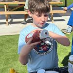 Camping Fav: Hot Dogs