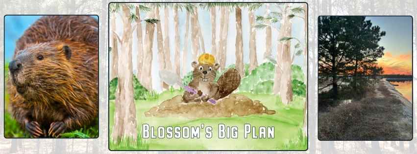 Forest Friend Blossom Beaver Makes A Plan