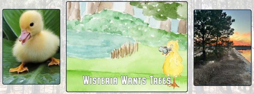 Wisteria Wants Trees