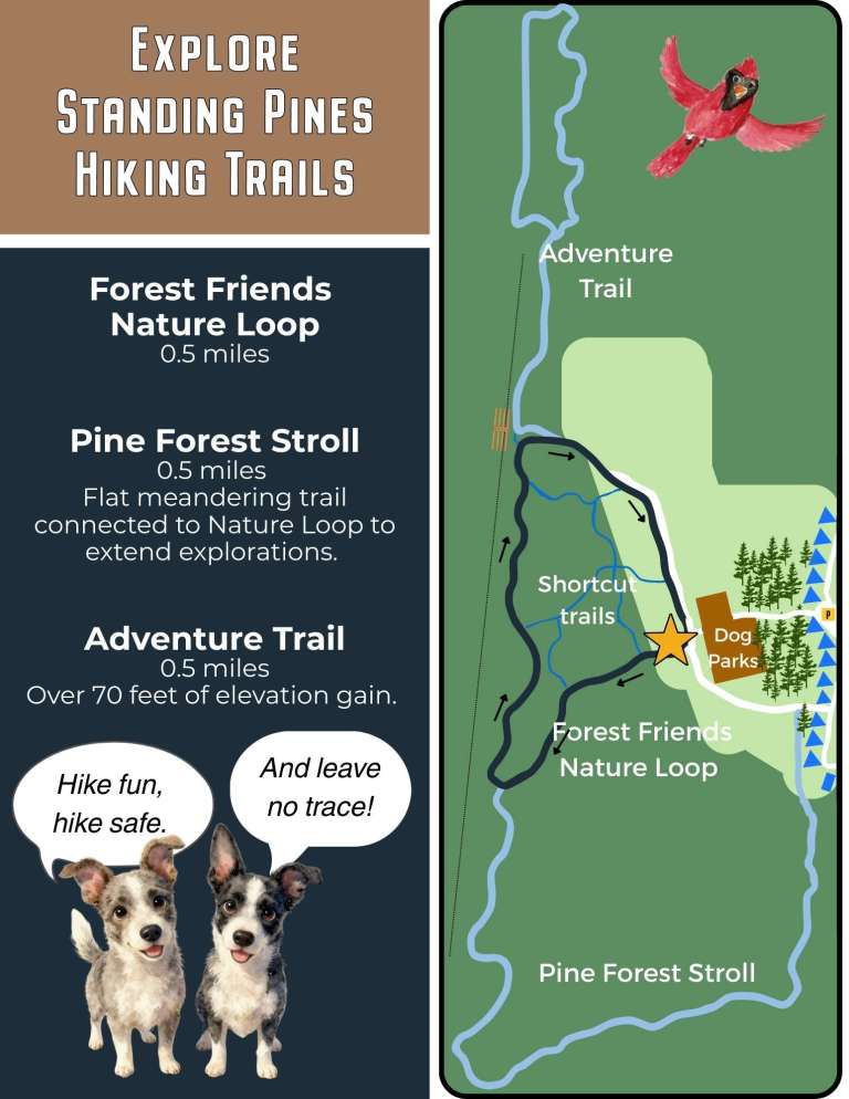 Illustrated hiking trail map for Standing Pines showing the Forest Friends Nature Loop, Pine Forest Stroll, and Adventure Trail, with shortcut trails, dog parks, parking area, and playful dog and cardinal graphics promoting safe, leave-no-trace hiking.