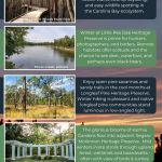 Winter Guide RVing the SC Pee Dee page 19